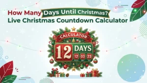 Live Christmas Countdown Calculator