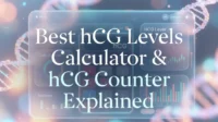 Best hCG Levels Calculator & hCG Counter Explained